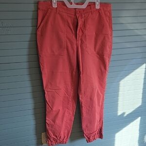 Banana Republic Men's Salmon Chinos